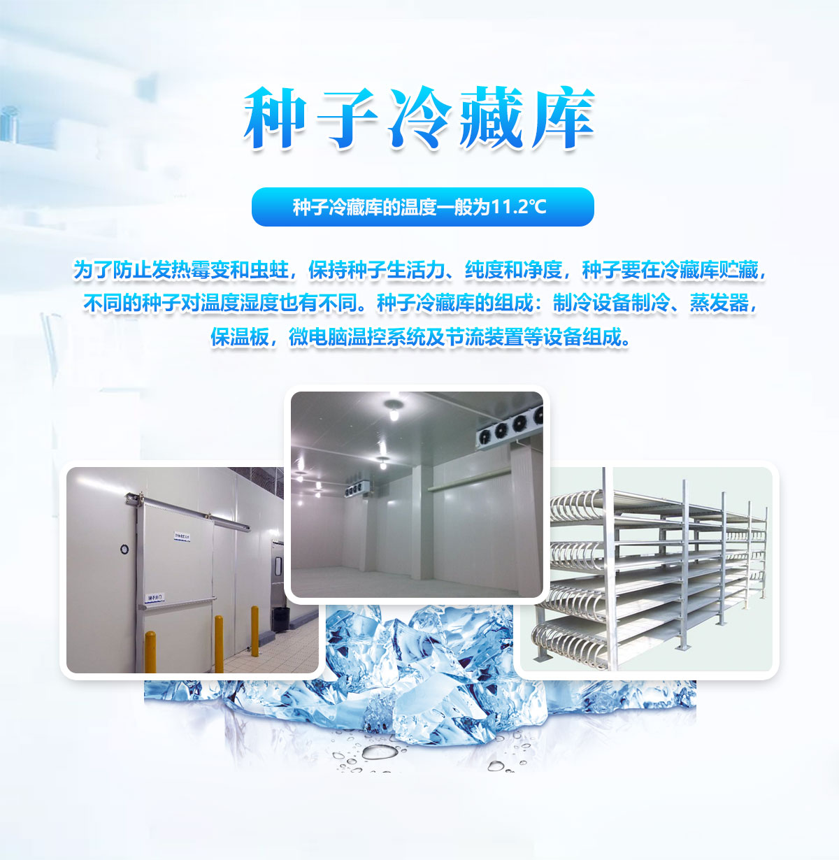  種子儲藏冷庫是什么？