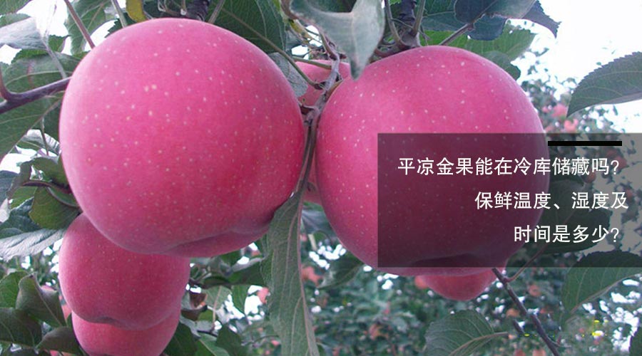 平?jīng)鼋鸸鋷?kù)保鮮溫度、相對(duì)濕度及貯藏時(shí)間介紹