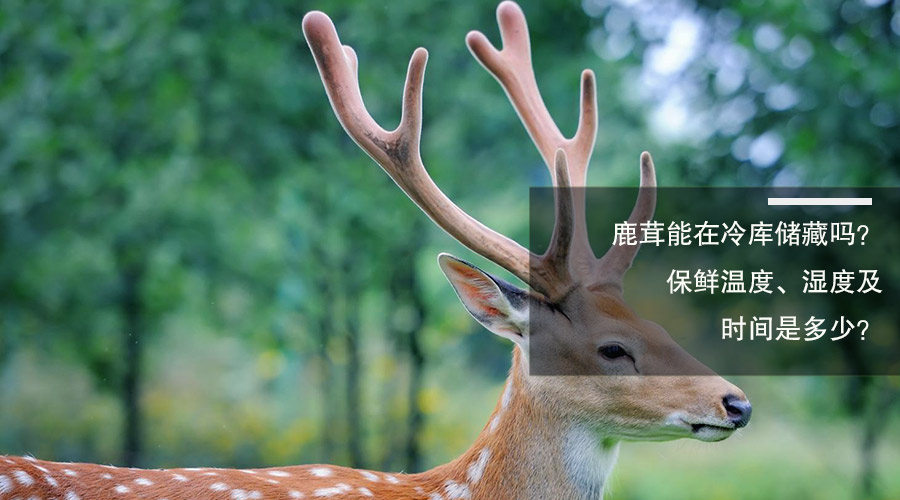 鹿茸冷庫保鮮溫度、相對(duì)濕度及貯藏時(shí)間介紹