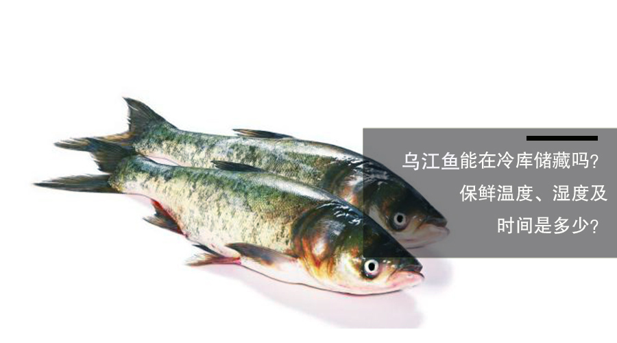 烏江魚放冷庫保鮮溫度、相對濕度和時間介紹