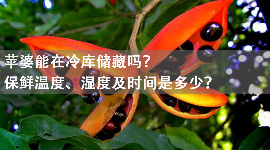 蘋婆冷庫(kù).jpg
