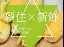 鮮食玉米在冷庫能存放多長時間？-萬能制冷