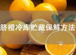 臍橙冷庫貯藏方法是什么？