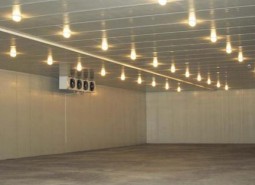 甘肅省蘭州市永登縣水果冷庫(kù)安裝工程-萬(wàn)能制冷
